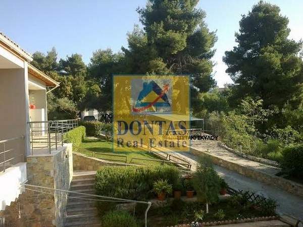 תמונת אורופוס, אתונה למכירה (0)