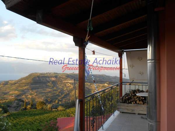 תמונת איגאליאה למכירה (0)