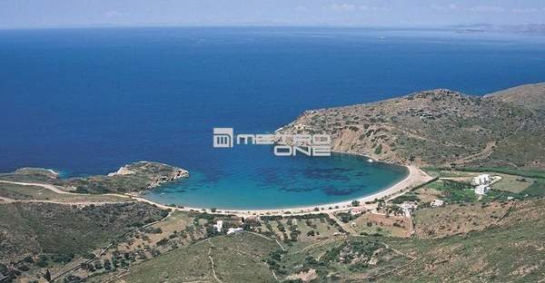 תמונת אנדרוס למכירה