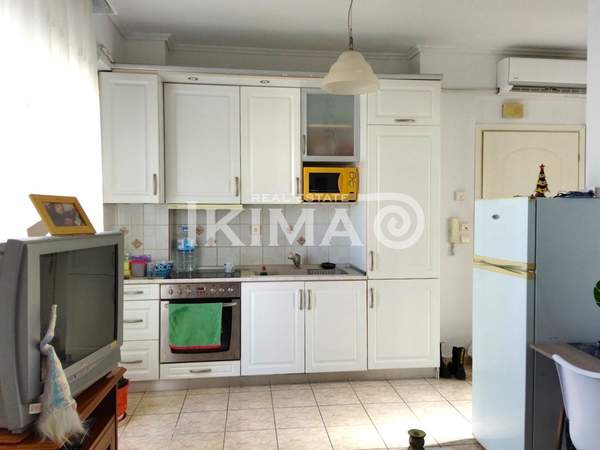 תמונת קורדליו - אבוסמוס למכירה (1)