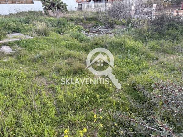 תמונת ספטה ארטמידה למכירה (0)