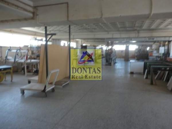 תמונת אכרניס למכירה (0)