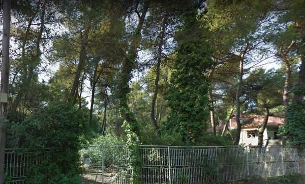 תמונת דיוניסוס, אתונה למכירה (0)