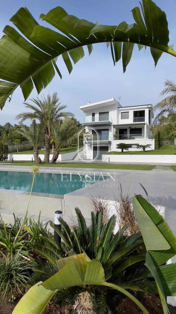 תמונת קסנדרה, כלקידיקי למכירה (0)