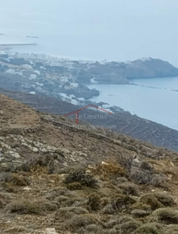 תמונת טינוס למכירה (0)