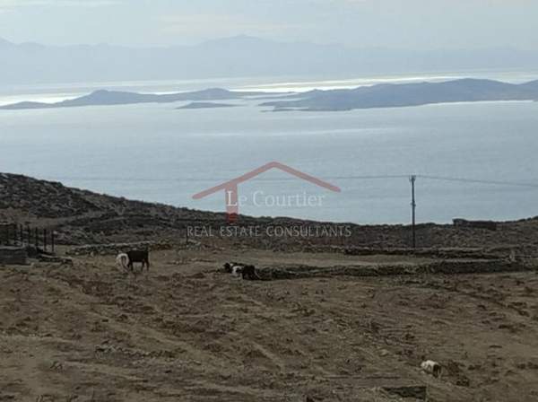 תמונת טינוס למכירה (1)