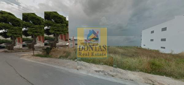 תמונת דיוניסוס למכירה (1)