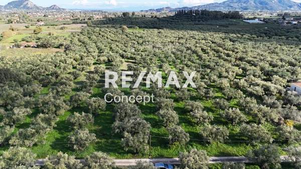 תמונת רשות מקומית זקינתוס למכירה (0)