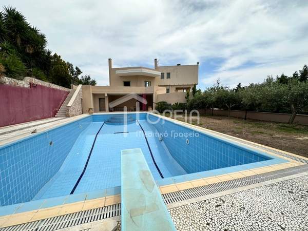 תמונת אנאוויסוס, סרוניקוס למכירה