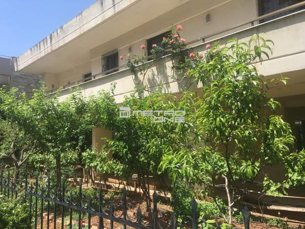 תמונת דיוניסוס, אתונה למכירה (1)