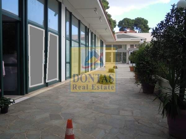 תמונת קיפיסיה למכירה (0)