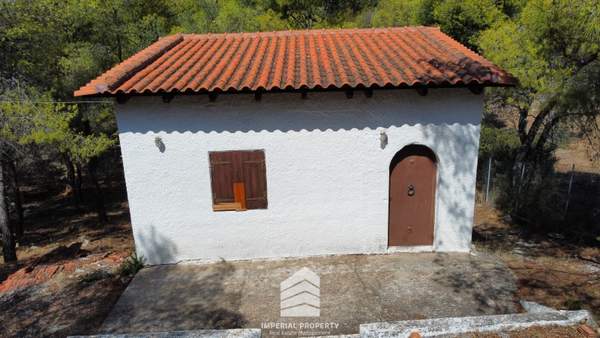 תמונת קורינתיה למכירה (0)