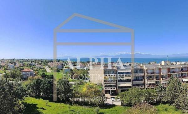 תמונת תרמיקוס למכירה