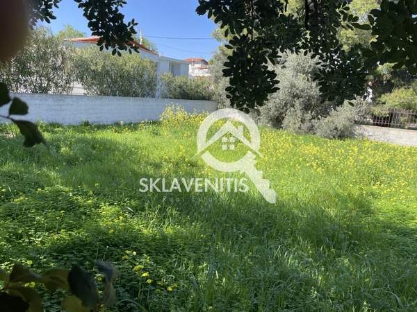 תמונת ספטה ארטמידה, אתונה למכירה