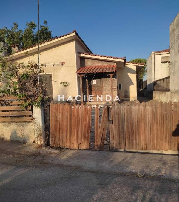 תמונת אורופוס למכירה (0)