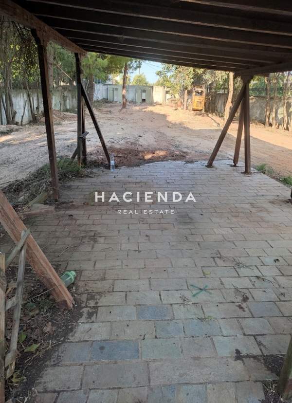 תמונת אורופוס למכירה (1)