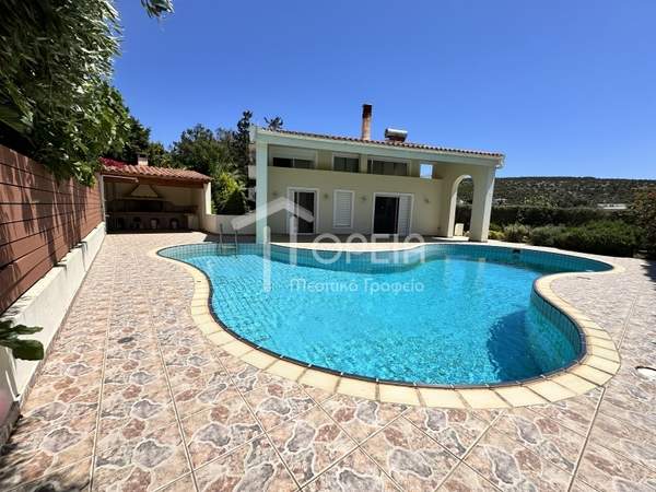 תמונת לאבראוטיקי למכירה (0)