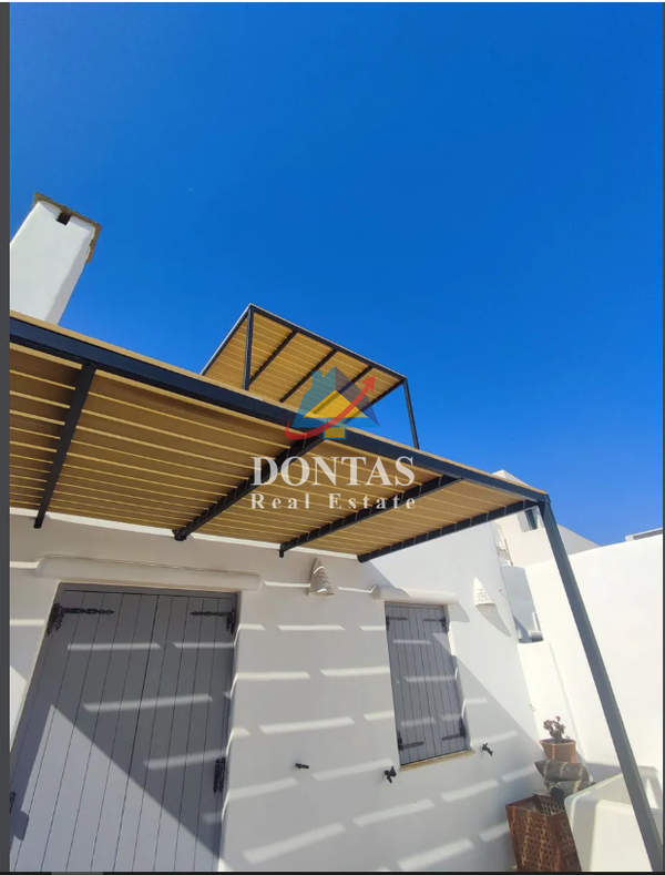 תמונת טינוס למכירה