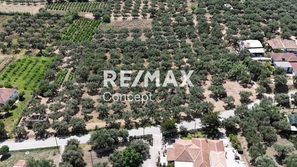 תמונת זקינתוס למכירה (1)