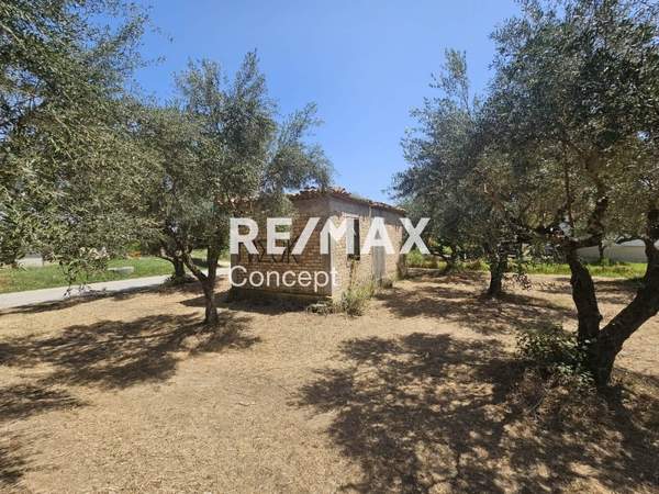 תמונת זקינתוס למכירה (0)