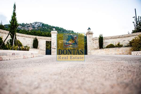 תמונת אורופוס, אתונה למכירה