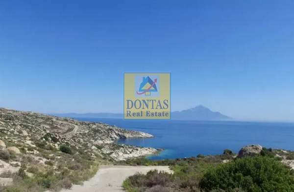 תמונת קיאה למכירה (0)