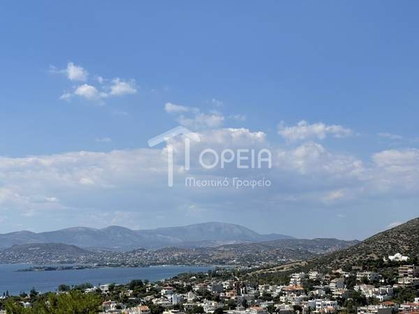 תמונת סרוניקוס, אתונה למכירה (0)