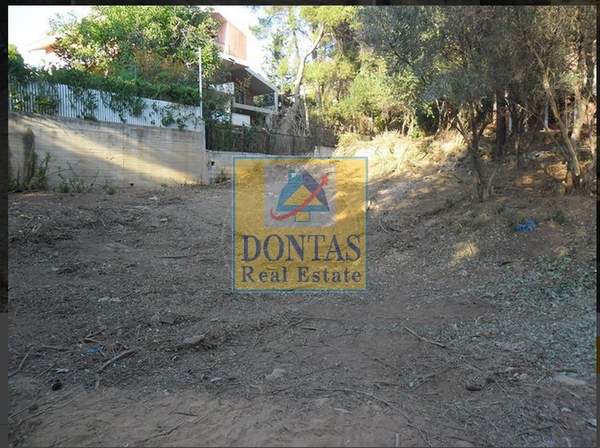 תמונת פאנטלי למכירה (1)