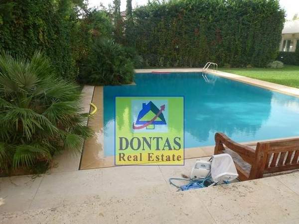 תמונת קיפיסיה למכירה (0)