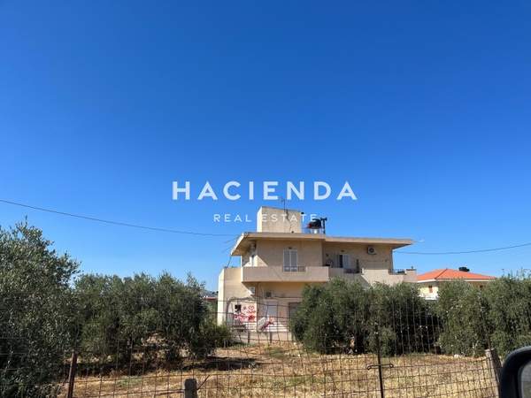 תמונת אסטרוזיה, כרתים למכירה