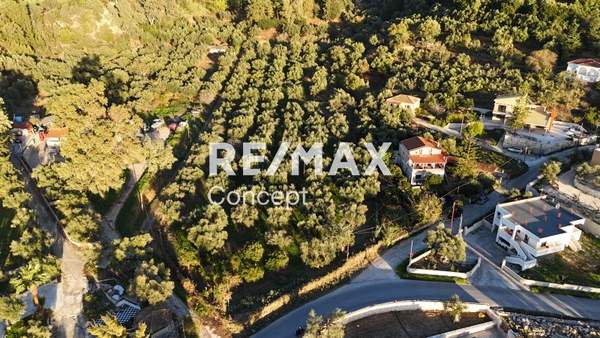 תמונת רשות מקומית זקינתוס למכירה