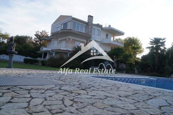 תמונת תרמיקוס למכירה (0)