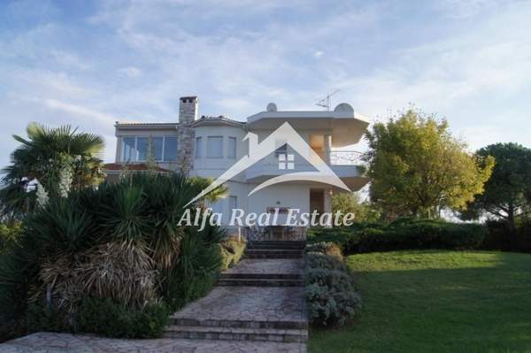 תמונת תרמיקוס, סלוניקי למכירה