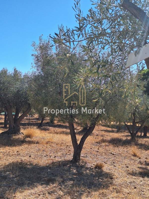 תמונת אנאוויסוס, סרוניקוס, אתונה למכירה