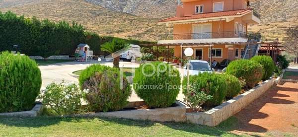 תמונת סרוניקוס, אתונה למכירה (1)