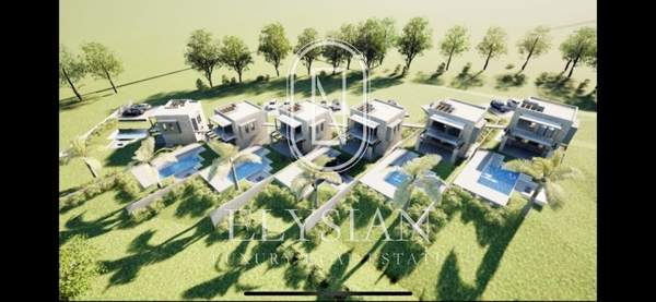 תמונת קסנדרה, כלקידיקי למכירה (1)