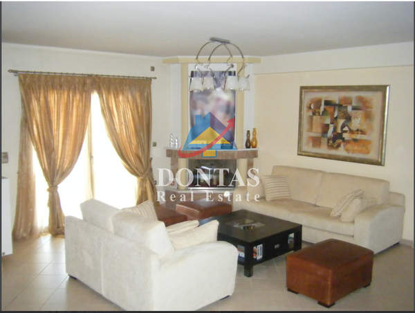 תמונת גראקס, פאליני למכירה (1)