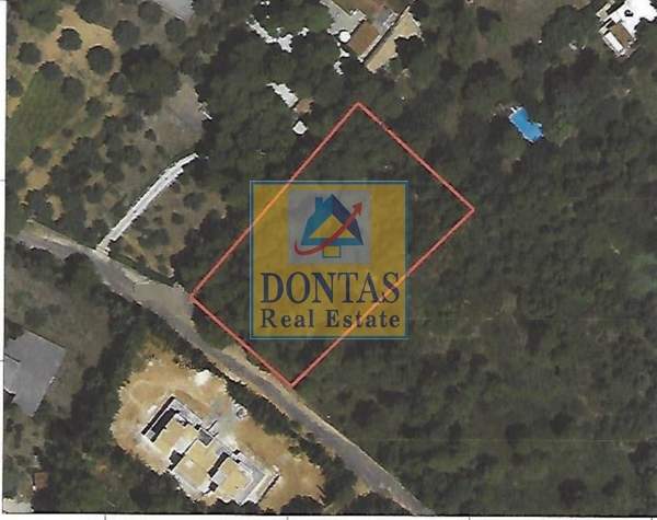 תמונת קיפיסיה, אתונה למכירה