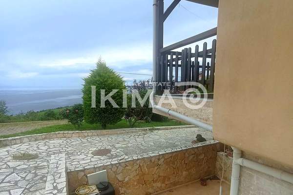 תמונת אריסטוליס למכירה