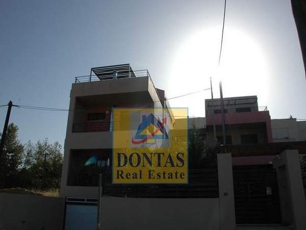 תמונת ספטה ארטמידה למכירה (1)