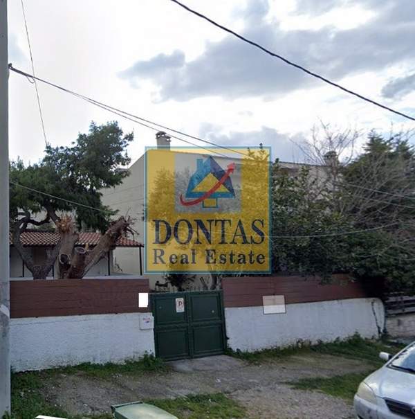 תמונת נאה אריטאריה, קיפיסיה למכירה (1)