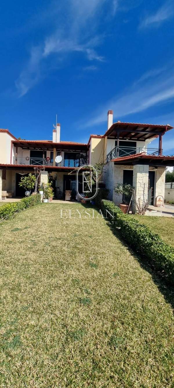 תמונת קסנדרה, כלקידיקי למכירה (1)