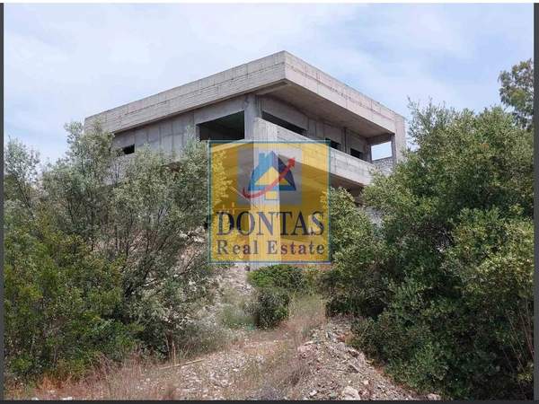 תמונת לורקוי למכירה (0)