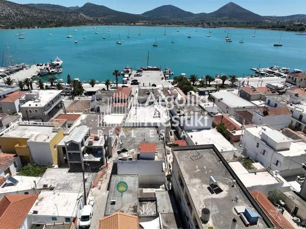 תמונת ארמיונידה, פלופונס למכירה (1)