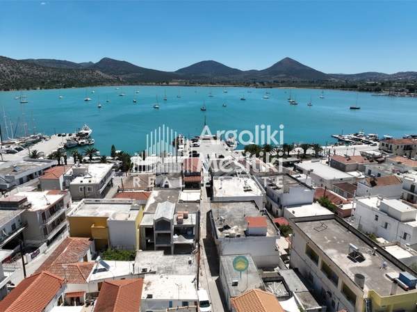 תמונת ארמיונידה, פלופונס למכירה (0)