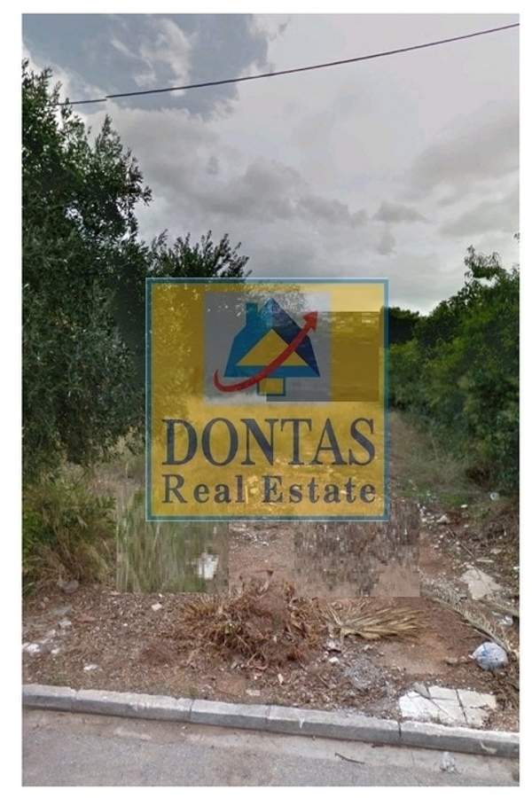 תמונת נאה קיפיסיה, קיפיסיה, אתונה למכירה