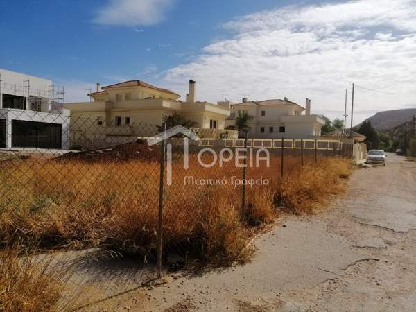 תמונת סרוניקוס למכירה (1)