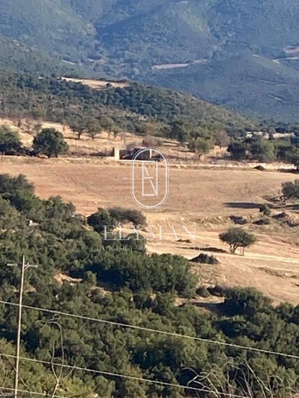 תמונת תרמי למכירה (1)