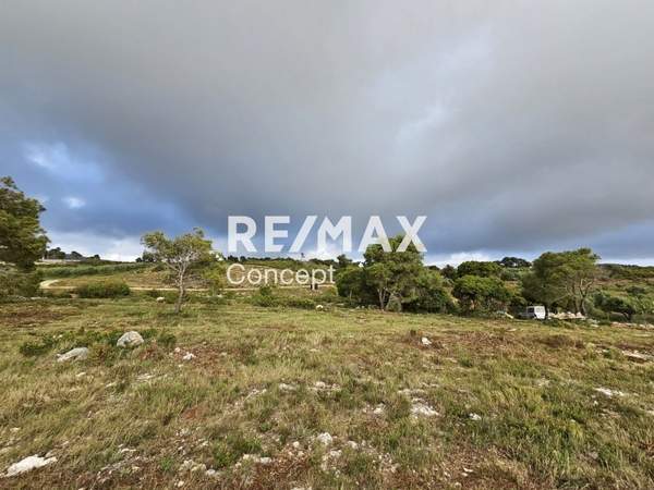 תמונת רשות מקומית זקינתוס למכירה