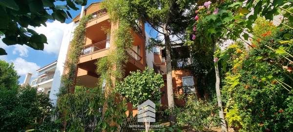 תמונת ראפינה - פיקרמי למכירה